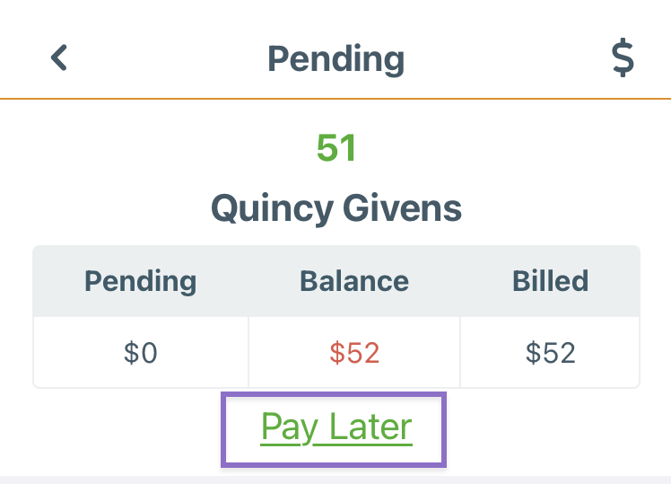 Pay_Later_link.png