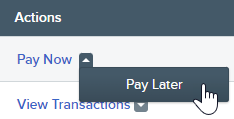 Pay_Later_button_on_Checkout_tab.png