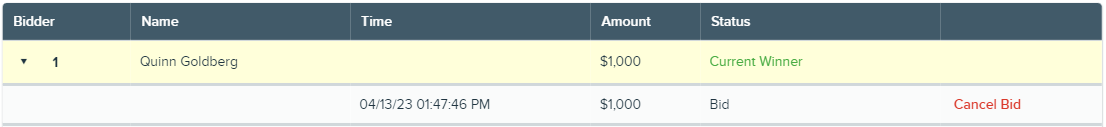 Expanded_auction_item_activity_with_Cancel_bid_link.png
