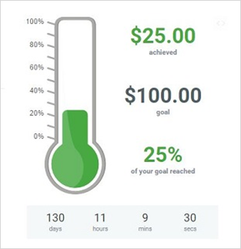 Goal Thermometer.png