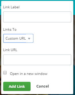 New nav item with Custom URL selected.png
