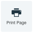 Print Page widget.png