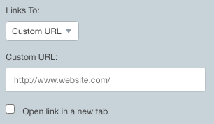 Links to Custom URL settings.png