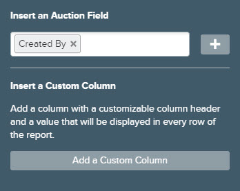 Insert_an_Auction_Field_Popup_From_Add_a_Field_Button.jpg