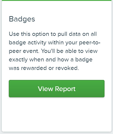 Badges_Report_Description_and_View_Report_Button.jpg