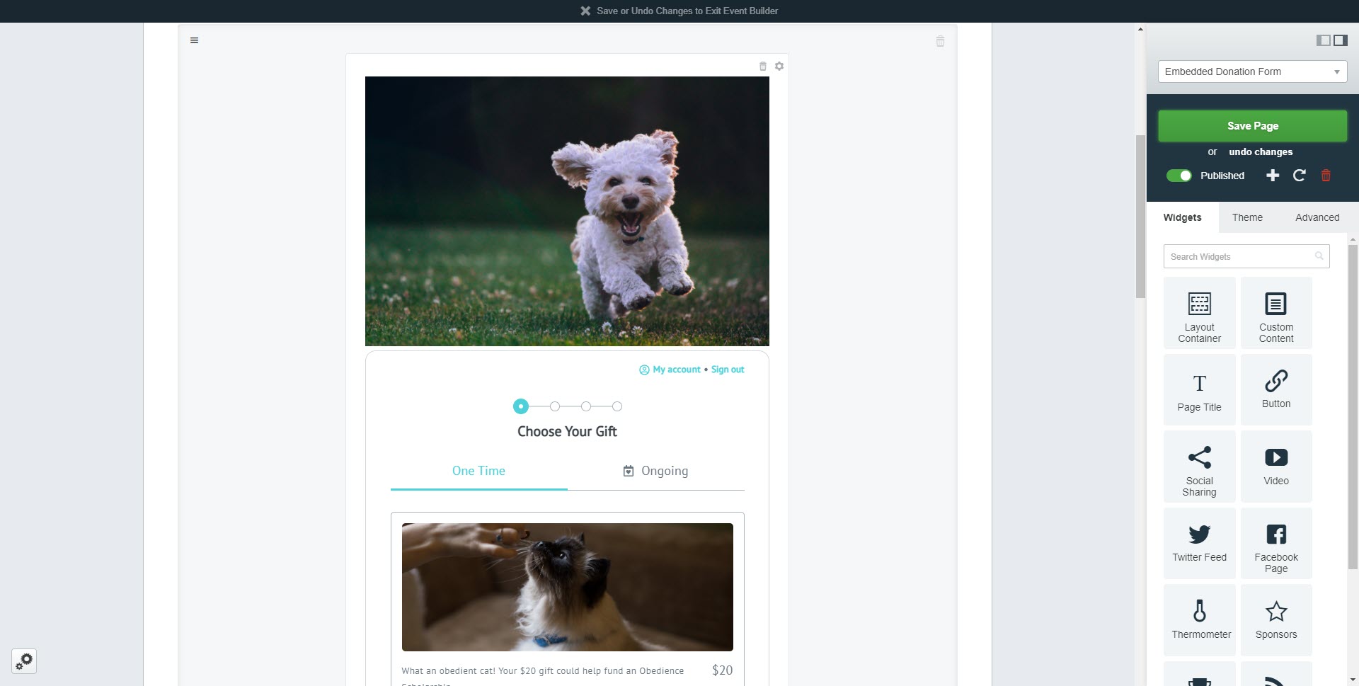 Donation_Form_embedded_on_P2P_page.jpg