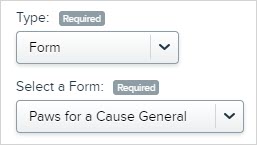 Type_and_Select_a_Form_dropdowns_in_Add_New_Widget_settings.jpg