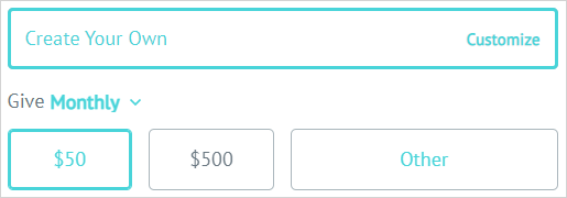 Giving_Plan_Options.png