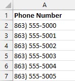 Phone_Number_column_with___removed.jpg