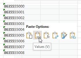 Paste_values_option_in_Excel.jpg
