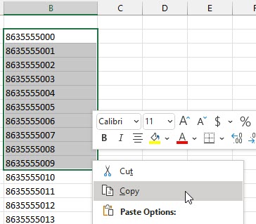 Copying_Excel_cells.jpg