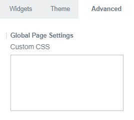 Advanced_Tab_custom_CSS_field.jpg