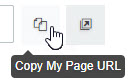 Copy_URL_button.jpg