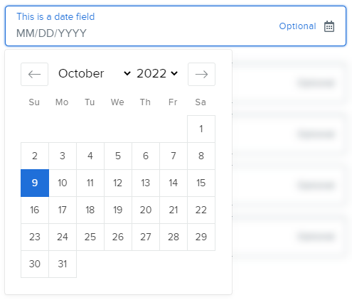Date_Field.png